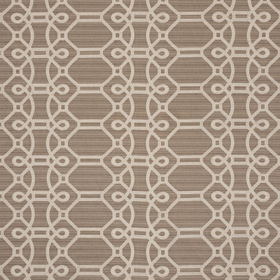 Ziz Embroidery Fabric