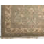 Wool Oriental Area Rug in Gray