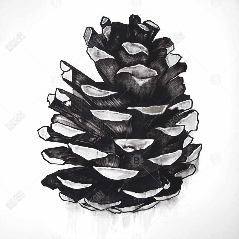 " Pine Cone "