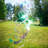 Iridescent Spin Quartet with Plastic Crystal