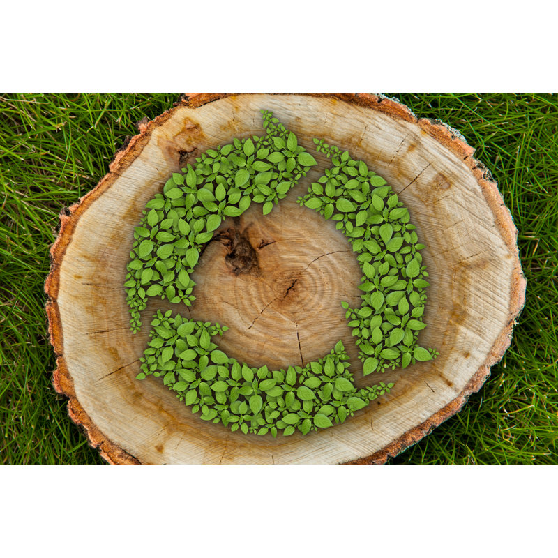 Tree Stump by Wasja - Wrapped Canvas Print, 61cm H x 91cm W
