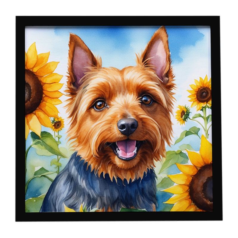Terrier australien avec tournesols, impression sur métal encadrée