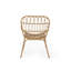 Chaise Harlem