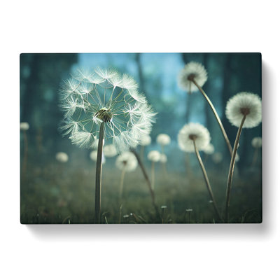 Alluring Dandelion Flowers - Wrapped Canvas Print