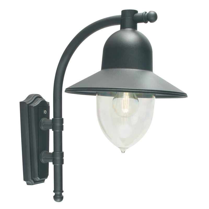Wellman Black/Black/Gold/Green/Gold/Verdigris/White Outdoor Barn Light, Black