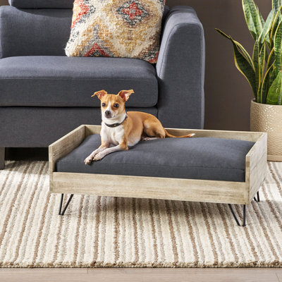Lit pour chien