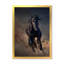 Portrait d'un cheval étalon Purius I - impression maison de campagne-60160451-60160459