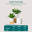 FLHPOT Ceramic Pot Planter-627609365