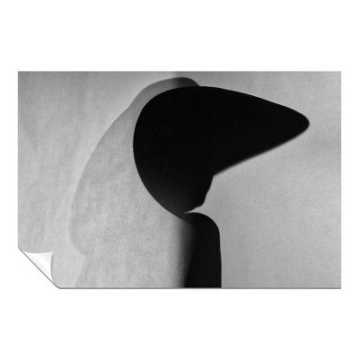 Woman Silhouette - No Frame Painting