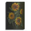«Four Sunflowers» par Christopher Pierce-89578393