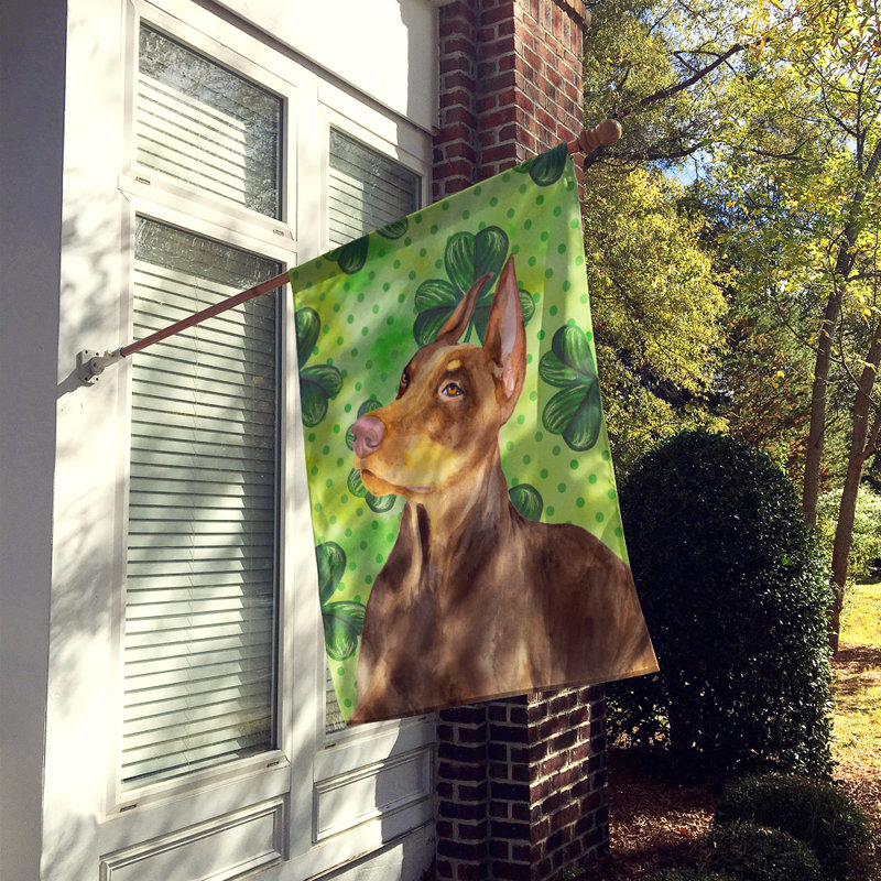40 x 28 po en polyester à 2 côtés de la st patrick drapeau maison, Doberman