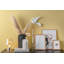 Glass Candlestick-650169439