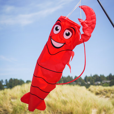 Manche à vent 3D homard