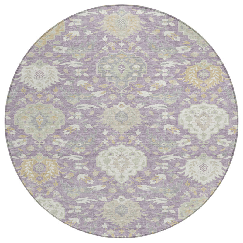  Machine Washable Indoor/Outdoor Chantille ACN1026 Rug, Round 8'