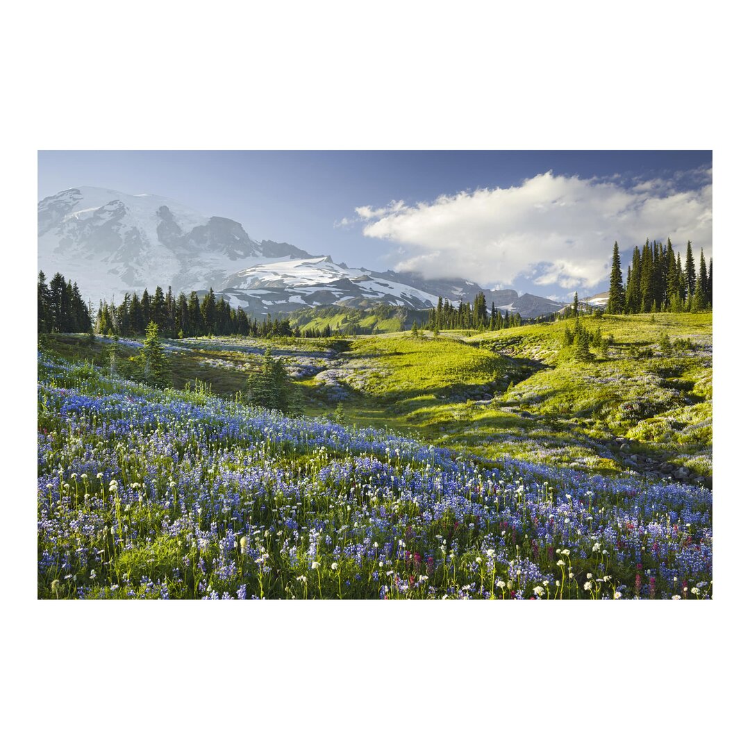 Strukturierte Tapete Flower Meadow in Front of Mt. Rainier 3,2 m x 480 cm