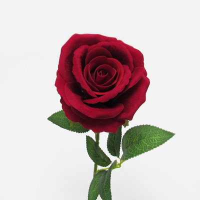 Tige de velours roses