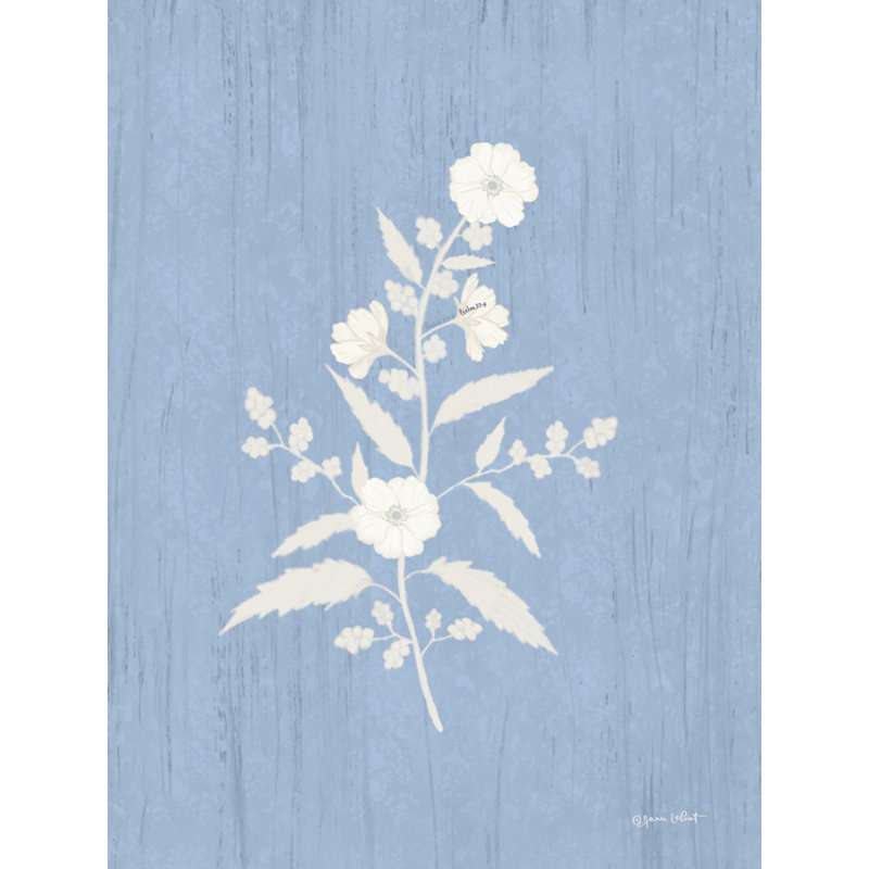 «Providence Botanical II» par Annie Lapoint, H 32 po x l 24 po, Pas de tapis, Papier photo noyer encadré