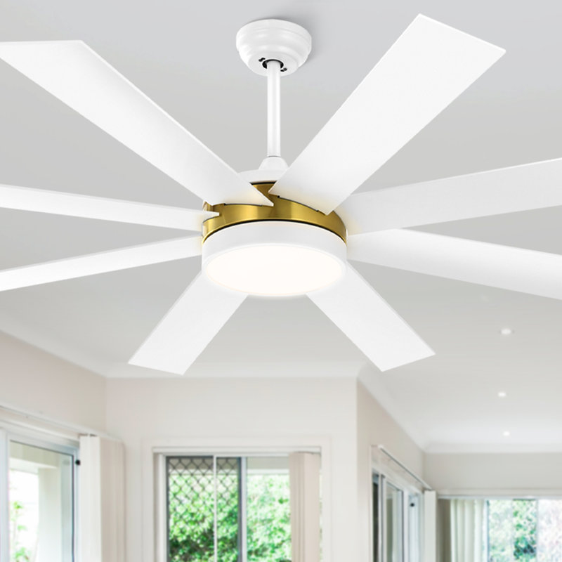 Ventilateur de plafond intelligent à 8 pales 60 pouces avec lumière Maiju, Blanc / Doré, Blanc