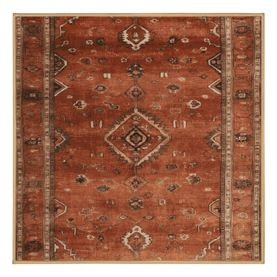 Machine Washable Overdyed Brown Area Rug