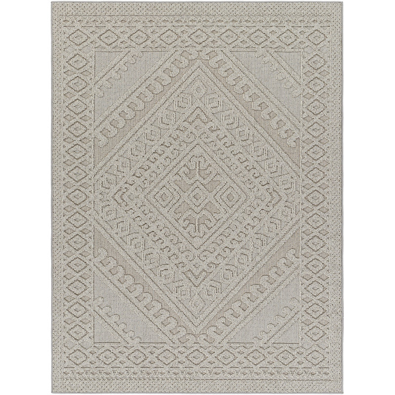 Tapis intérieur / extérieur gris tissé à la machine Abidemi, Tapis de couloir 2 pi 7 po x 7 pi 3 po