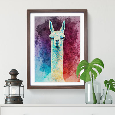 Llama Portrait - Framed Print