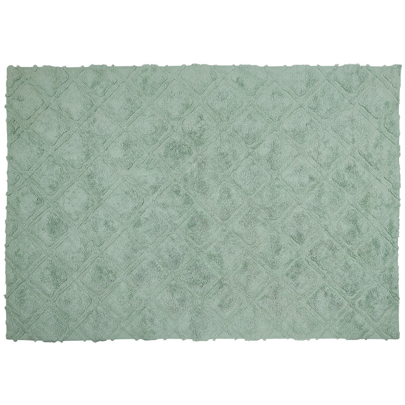 Opelika Geometric Hand Woven Area Rug, Rectangle 160 x 230cm