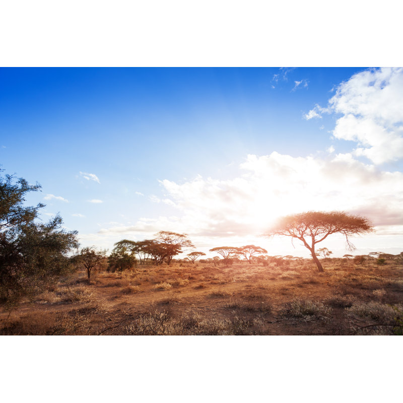 African Savannah by SerrNovik - Wrapped Canvas Print, 30cm H x 46cm W