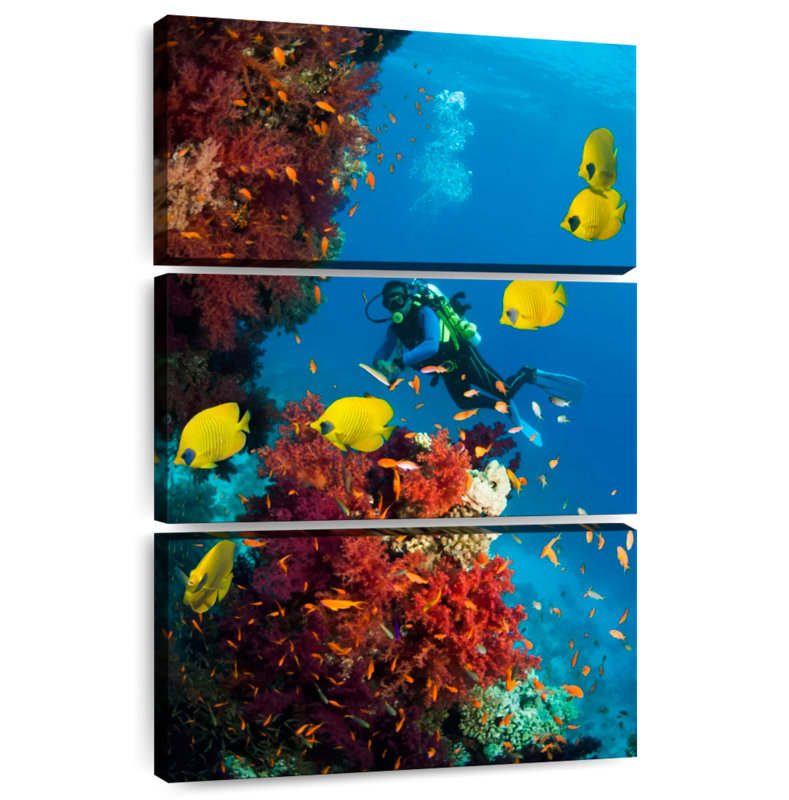 Senne Deep Sea Scuba Diving, 32" H x 20" W