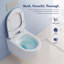Cuvette de toilette Capri