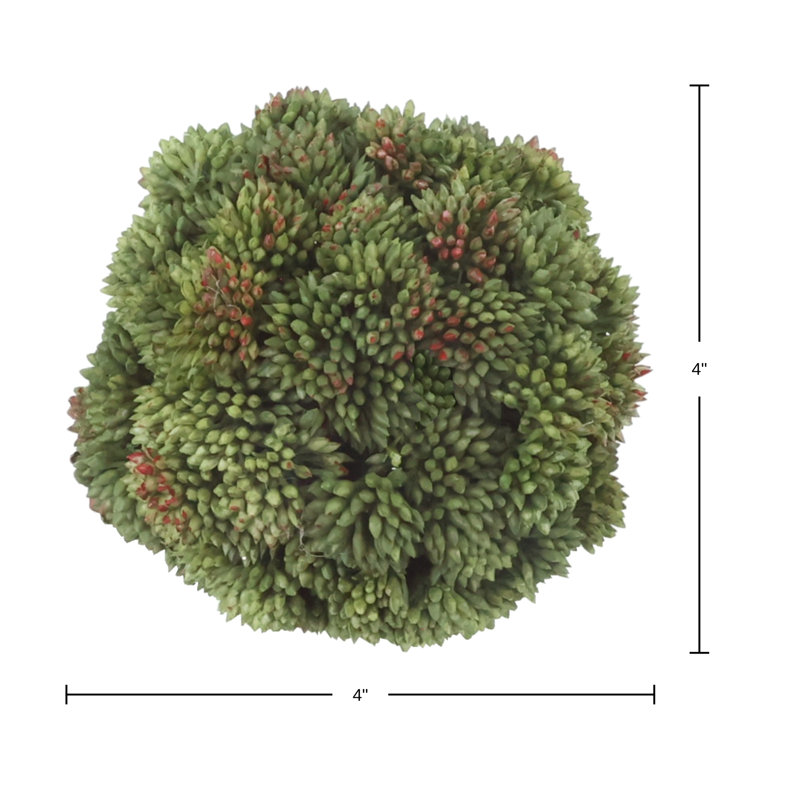 Decorative Sedum Balls, Green