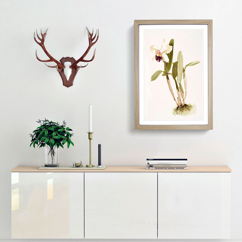Magnolia Flowers Illustration Tab. 67 by Frederick Sander - Picture Frame Painting Print, 60cm H x 40cm W x 2cm D, Oak