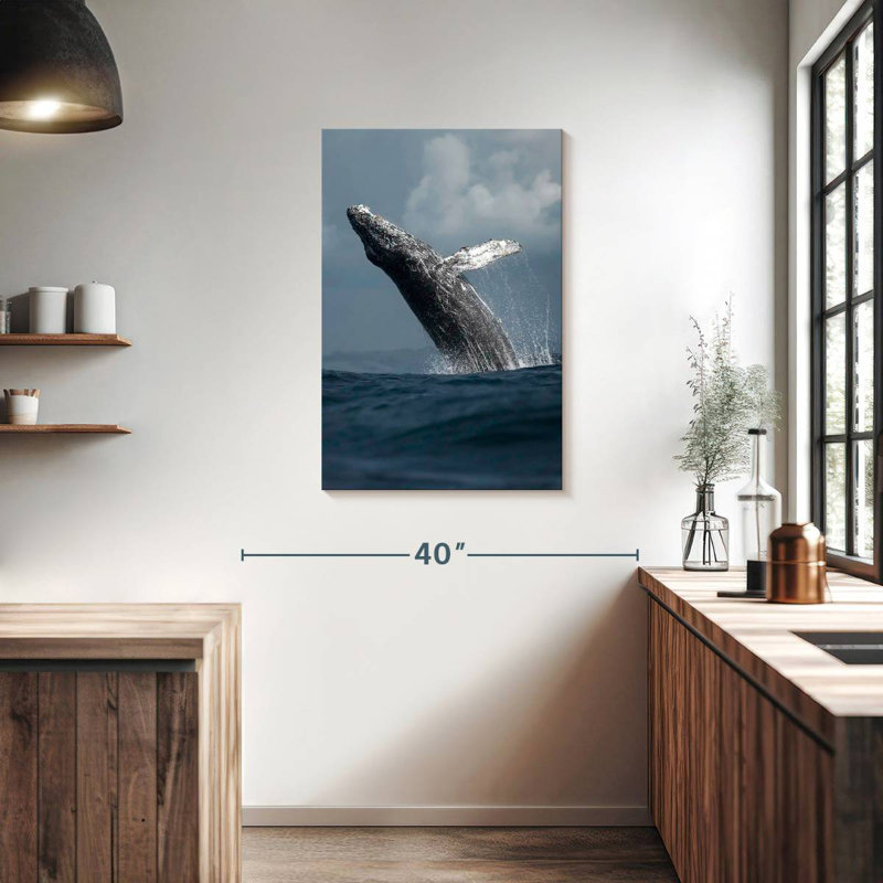 Humpback Whale Flip