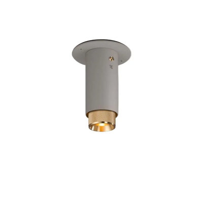 1 - Light Flush Mount