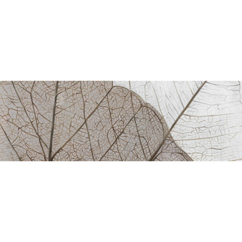 " Translucent Dried Leaves "