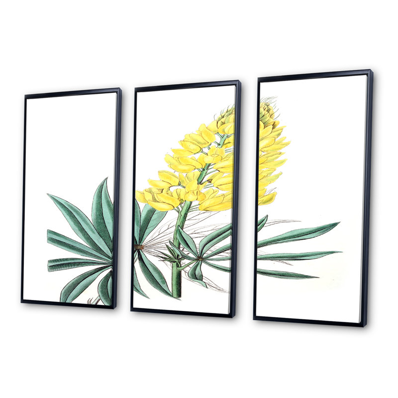 «Vintage Yellow Flower I», peinture sur toile 3 pièces, H 28 po x l 36 po x P 1 po, Noir