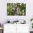 Australian Koala Bears-107922770