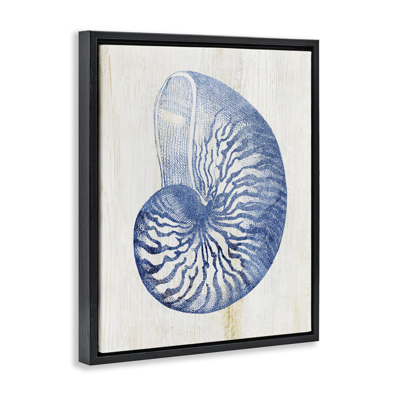 Cadre flottant bleu Nautilus Shell, design par Susan Arnot, Cadre flottant noir de jais, H 21 po x l 17 po