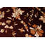 Hand-Knotted High-Quality Wine Area Rug