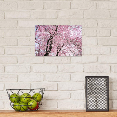 " Cherry Blossom " by Stefan Hefele