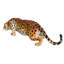 Statues jaguar prowling tacheté