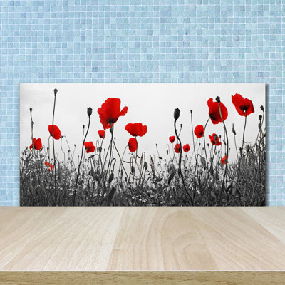 Loudes 50 cm. W x 100 cm. L Peel and Stick