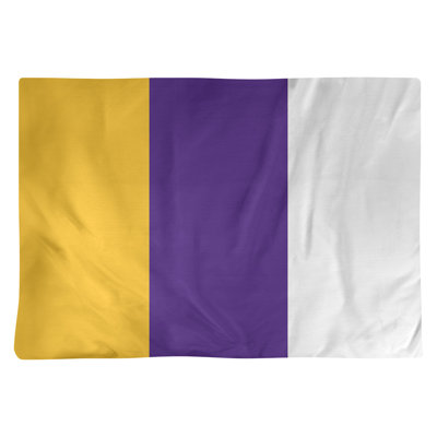 Récapitulatif 18" à rayures de football Minnesota