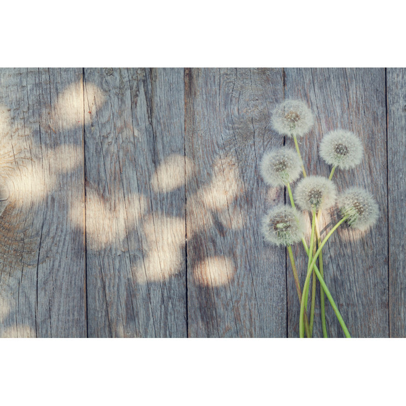 Dandelion Flowers par Karandaev - Photographie sur toile tendue, H 8 po x l 12 po