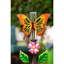 Jauge de pluie papillon