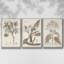 Antique Almond Botanical II - Ensemble de 3 reproductions de photos sur toile-97760019-97760020
