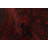 Elam Red Rug