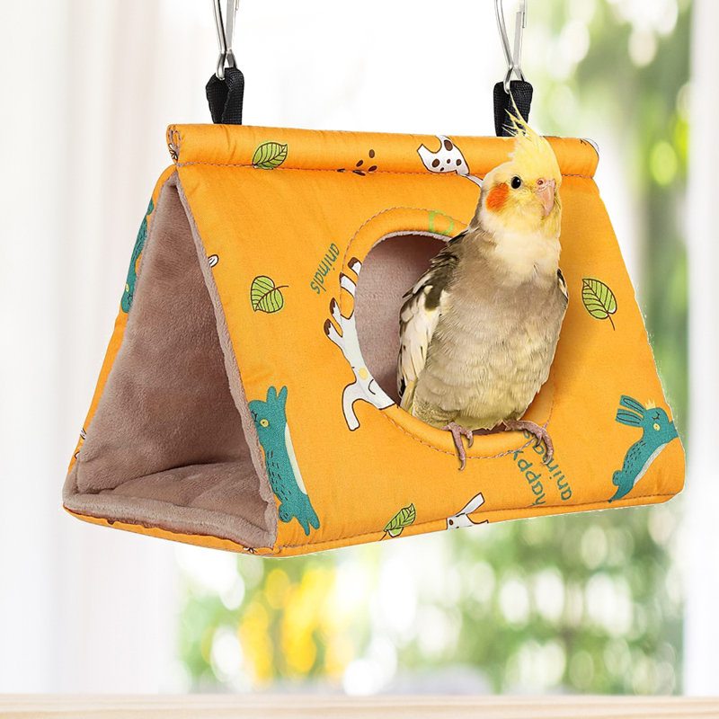 11,8 oiseaux