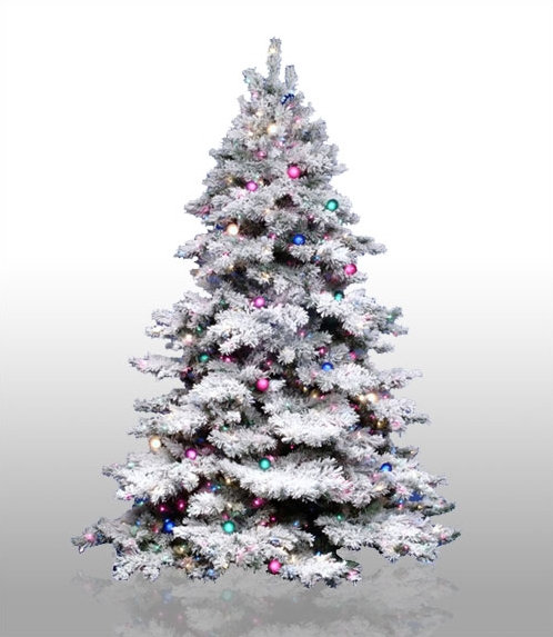 Pfeiffer Lighted Pine Christmas Tree, 10' H, Multicolored