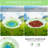 Ontario Glass Mosaic Birdbath