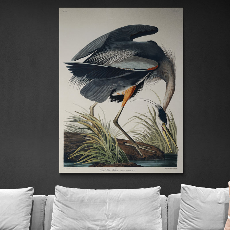 Great Blue Heron by John Audubon - Wrapped Canvas Print, 81cm H x 61cm W